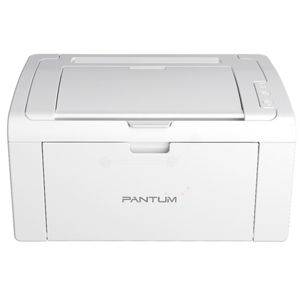 Pantum P 2509