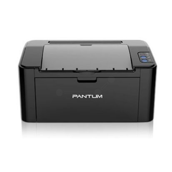 Pantum P 2502 W